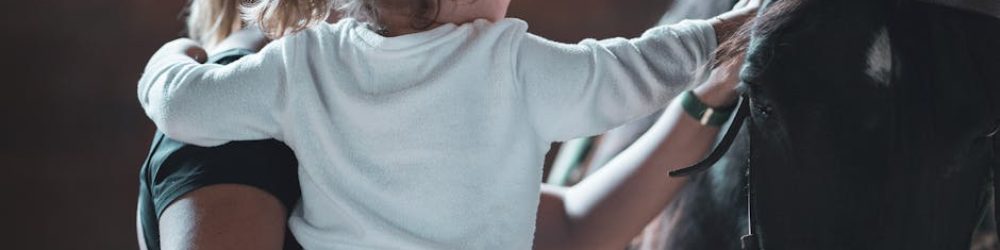pexels-photo-33565494-1